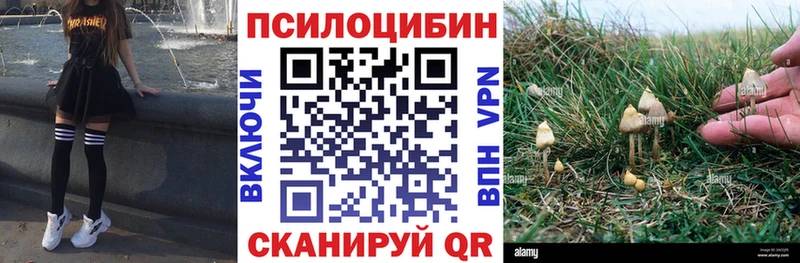 darknet какой сайт  Невинномысск  Псилоцибиновые грибы мухоморы  магазин продажи наркотиков 
